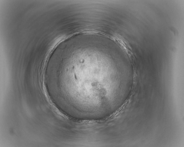 X0000115380145200911171442