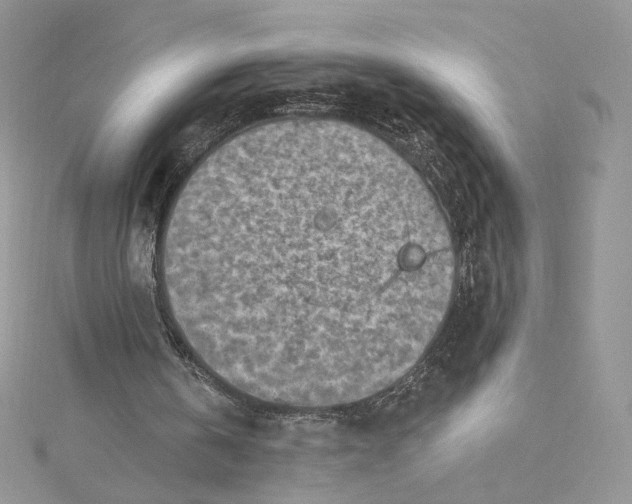 X0000115380146200911171442