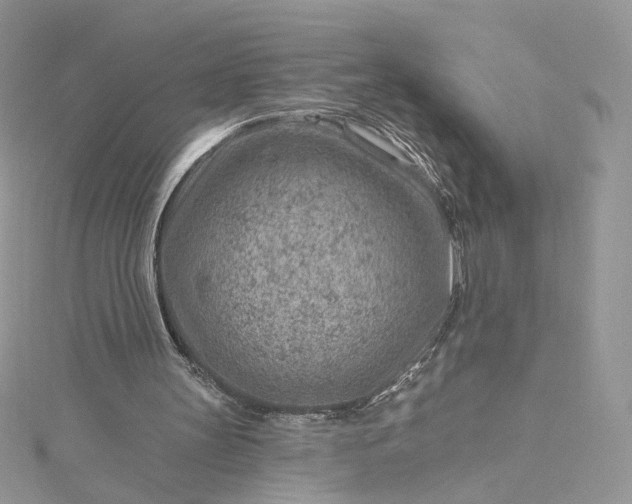 X0000115380147200911171442