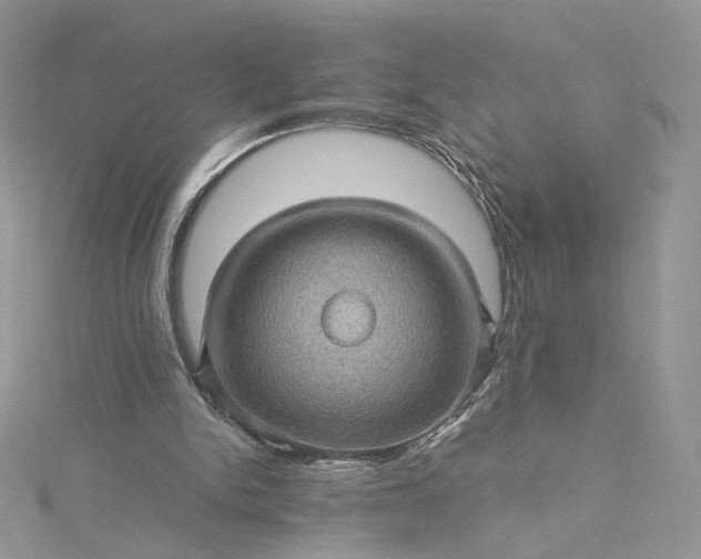 X0000115380150200911171442