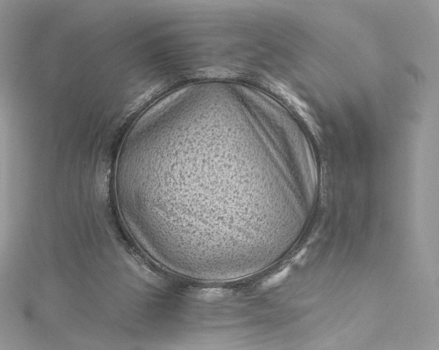 X0000115380153200911171442