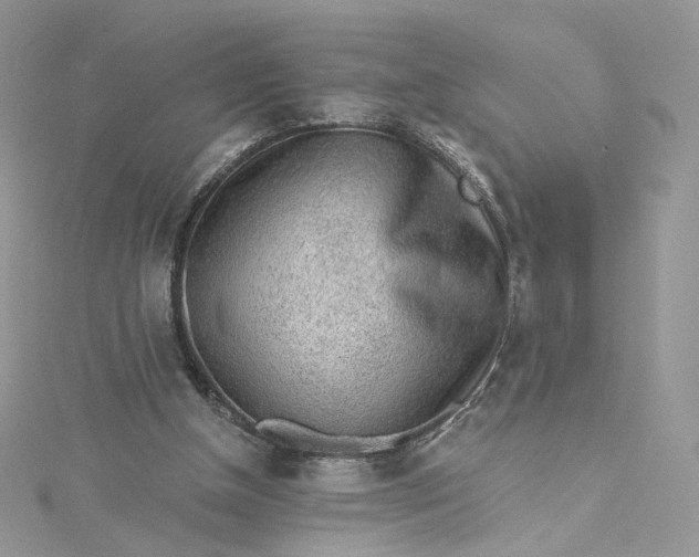 X0000115380154200911171442