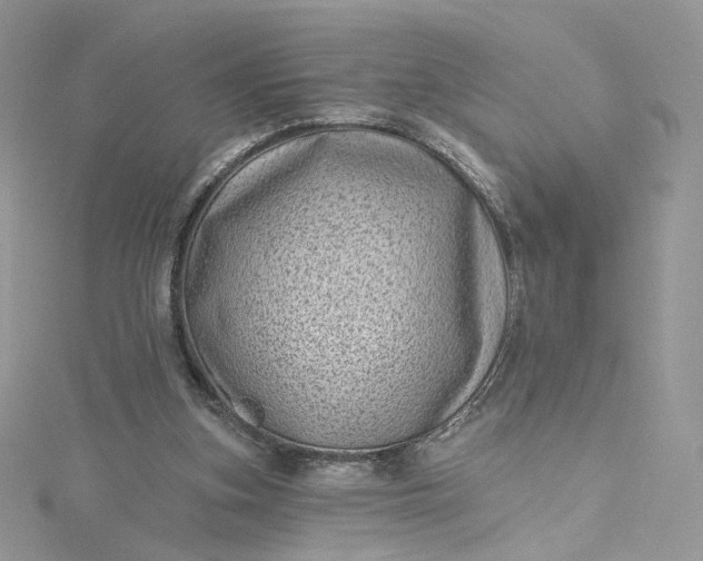 X0000115380155200911171442