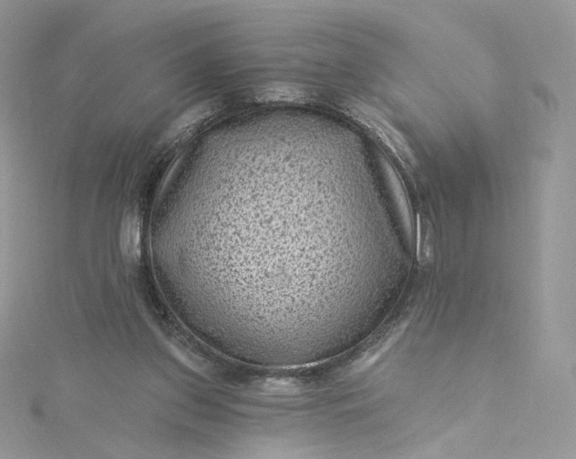 X0000115380157200911171442