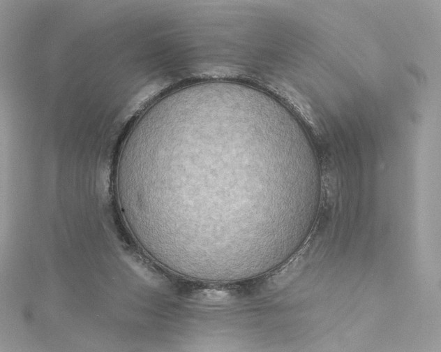 X0000115380159200911171442