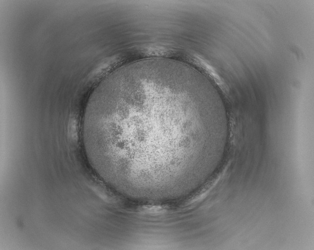 X0000115380161200911171442