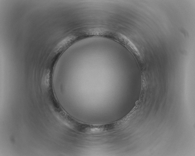 X0000115380163200911171442