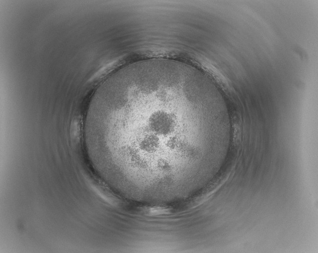 X0000115380165200911171442