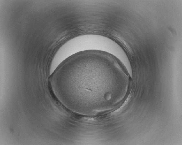 X0000115380170200911171443