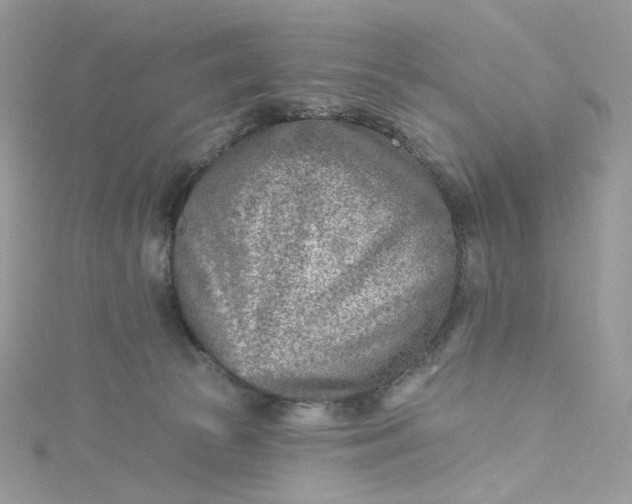 X0000115380177200911171443