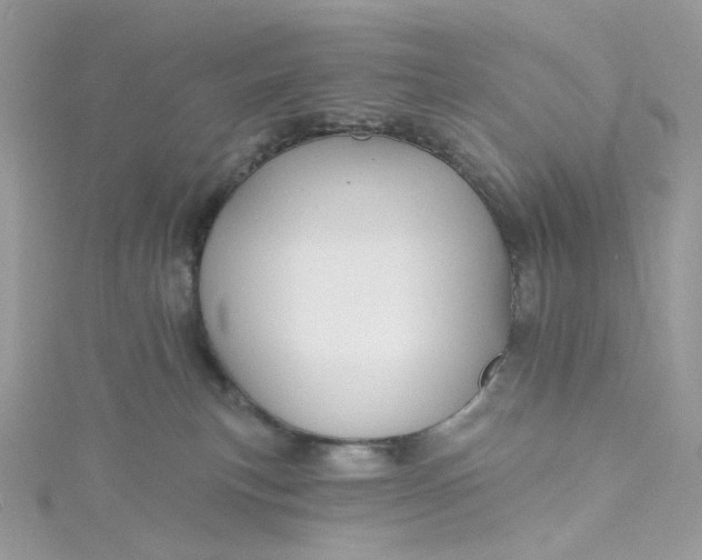 X0000115380183200911171443