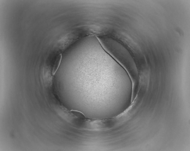 X0000115380186200911171443