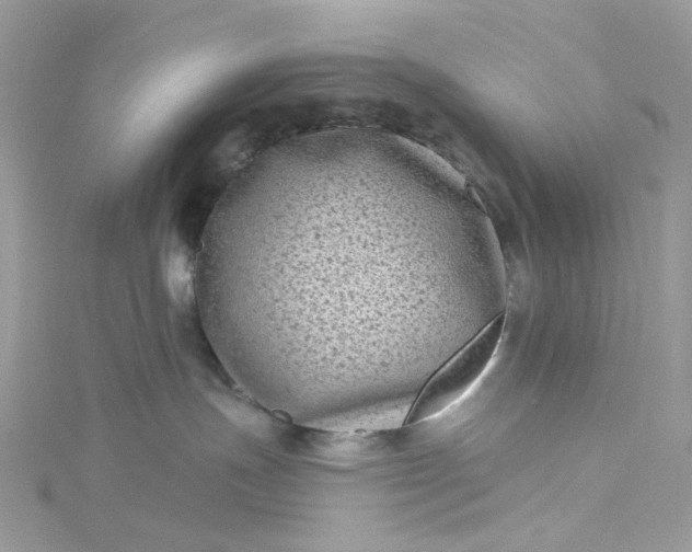 X0000115380191200911171443