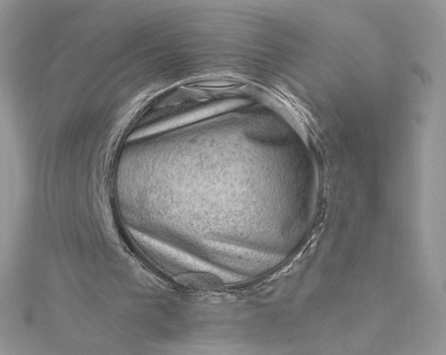 X0000115380193200911171442