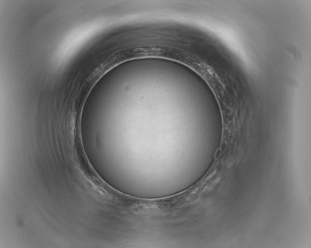 X0000115380194200911171442