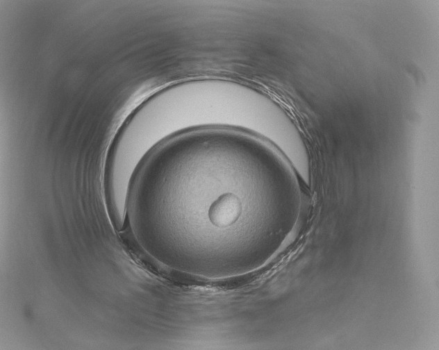 X0000115380195200911171442