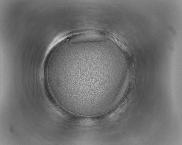 X0000115380198200911171442