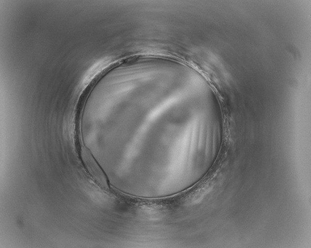 X0000115380199200911171442