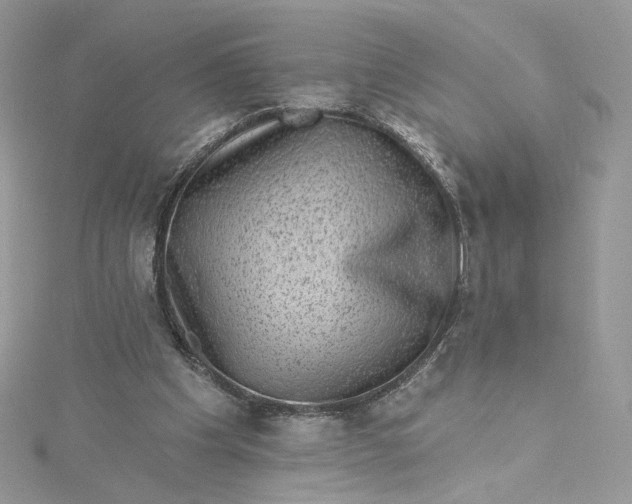 X0000115380201200911171442