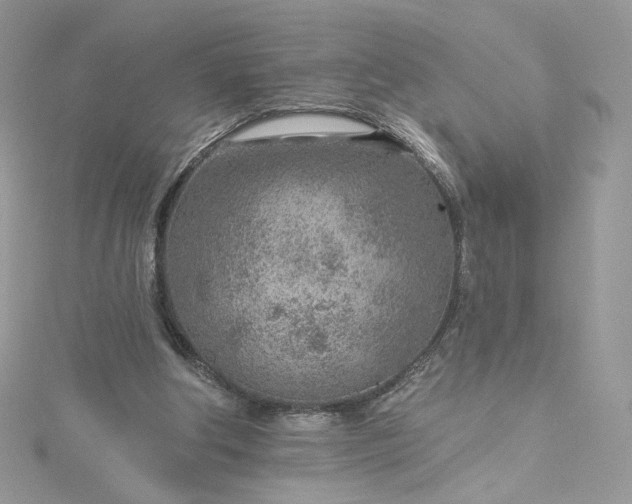 X0000115380202200911171442