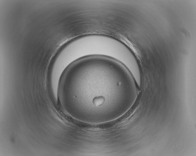 X0000115380203200911171442