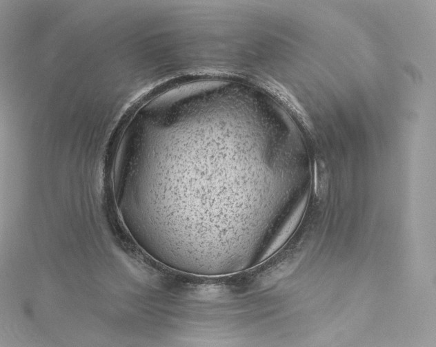 X0000115380204200911171442