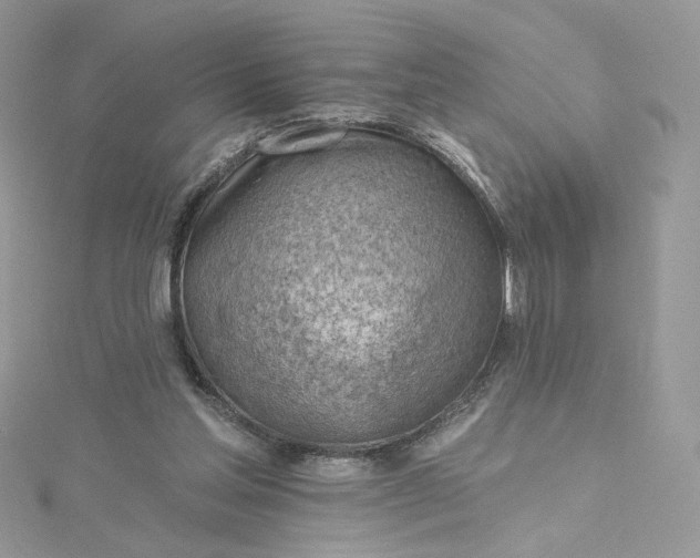 X0000115380205200911171442