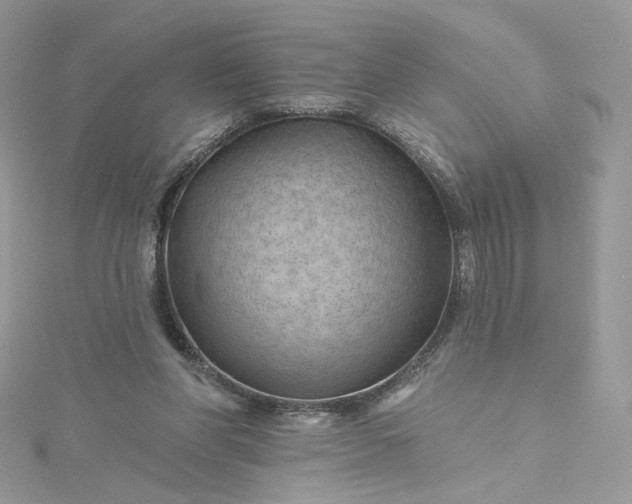 X0000115380206200911171442