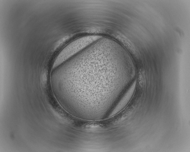 X0000115380208200911171442