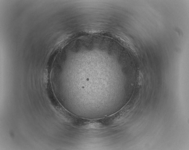 X0000115380210200911171442