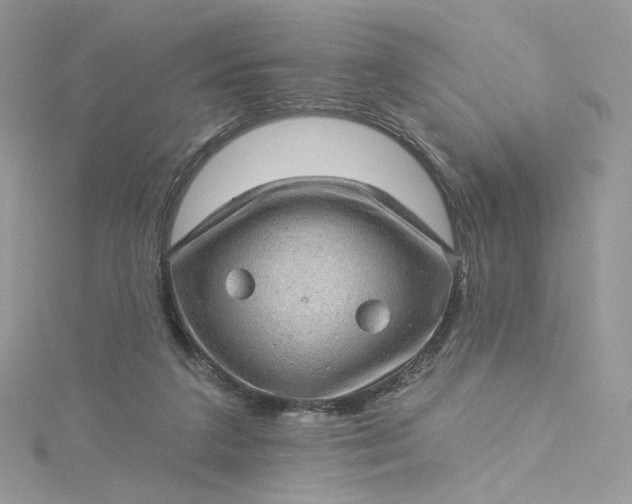 X0000115380211200911171442