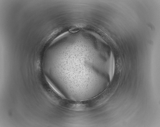 X0000115380212200911171442