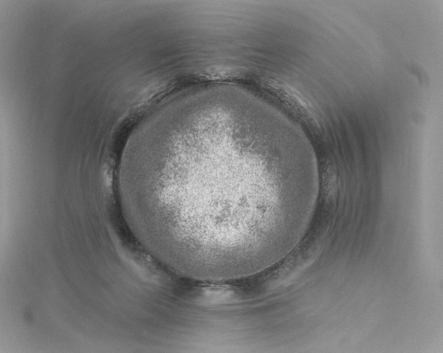 X0000115380214200911171442