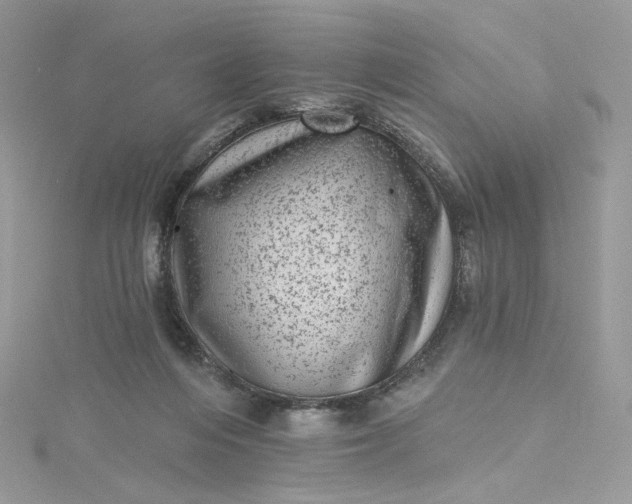 X0000115380216200911171442