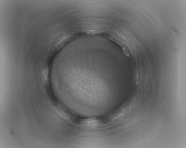 X0000115380219200911171442