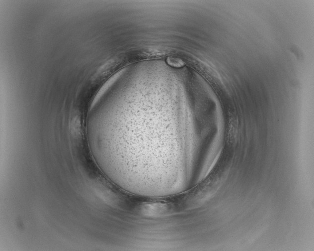 X0000115380220200911171442