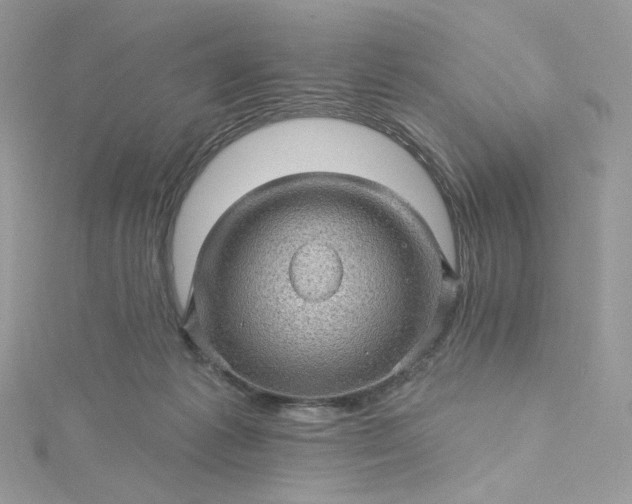 X0000115380221200911171442