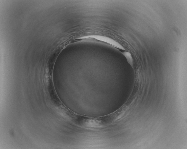 X0000115380223200911171442