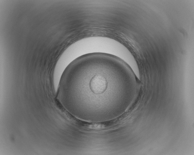 X0000115380225200911171442