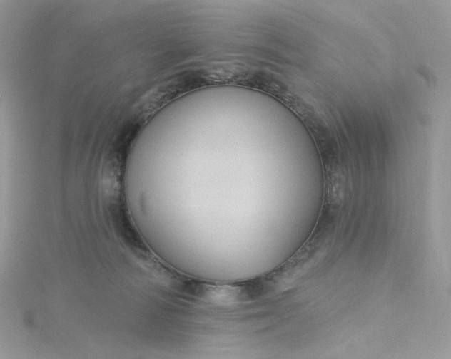 X0000115380226200911171442