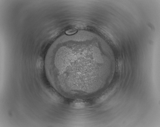 X0000115380228200911171442