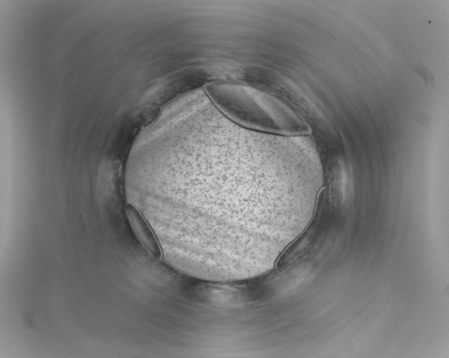 X0000115380229200911171442