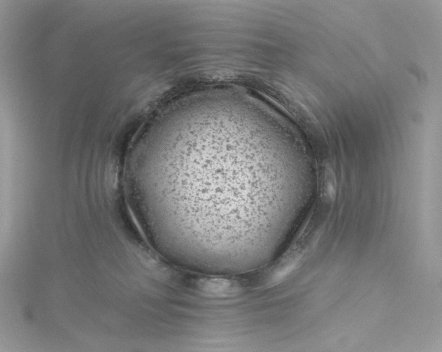 X0000115380230200911171442