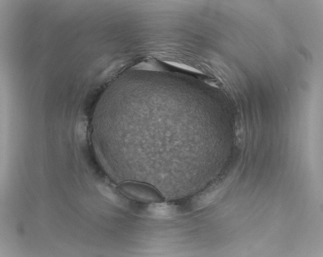 X0000115380231200911171442