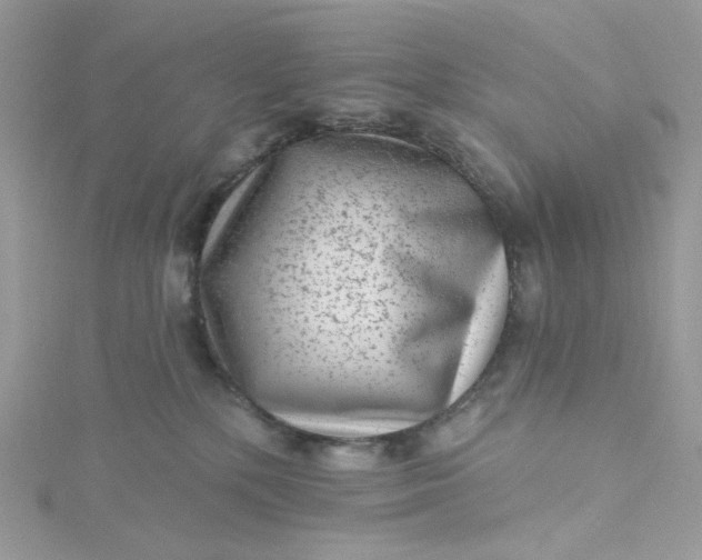 X0000115380232200911171442