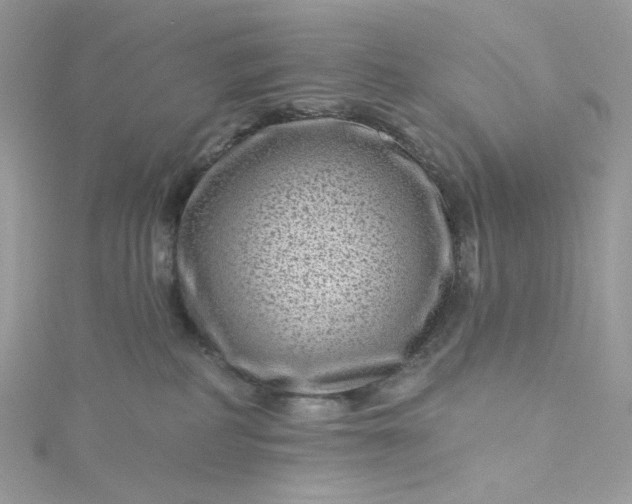 X0000115380234200911171442