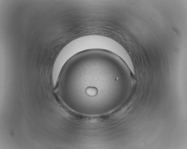 X0000115380235200911171442