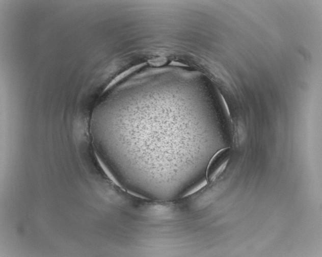 X0000115380236200911171442