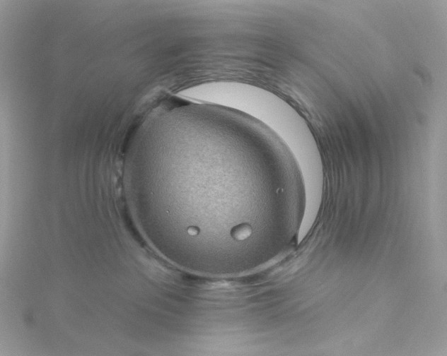 X0000115380237200911171442