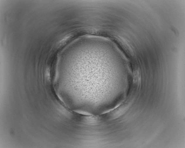 X0000115380238200911171442